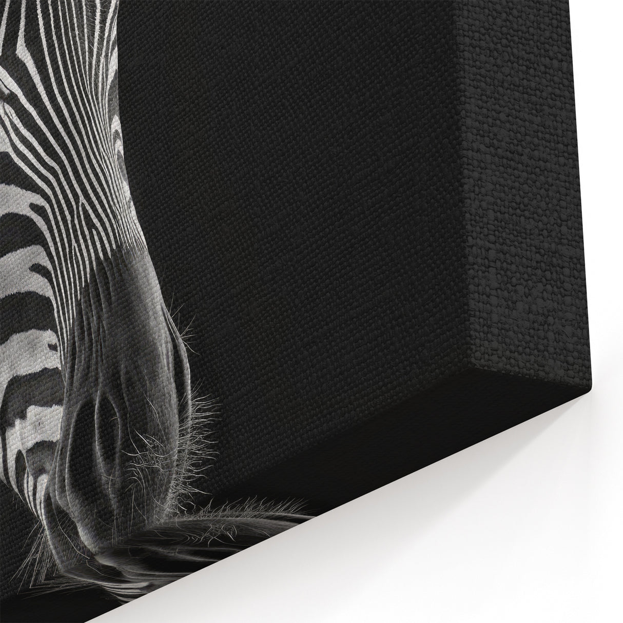 Striking Black and White Zebra Wall Art - Elegant Safari Animal Decor