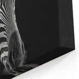 Striking Black and White Zebra Wall Art - Elegant Safari Animal Decor