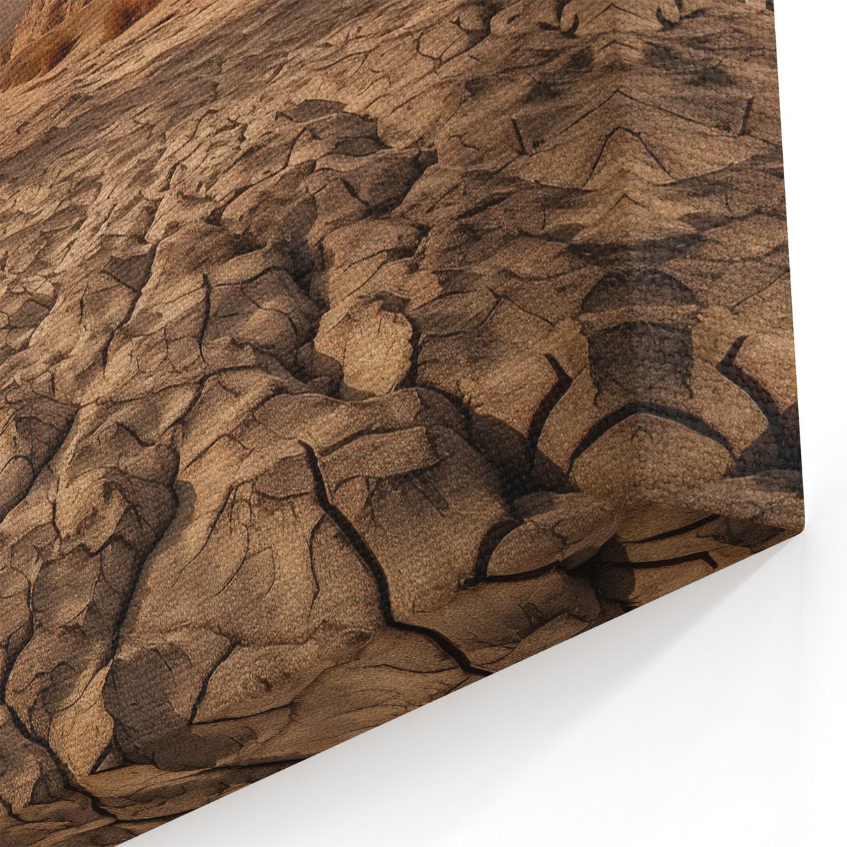 Resilient Desert Tree - Captivating Desert Landscape Canvas Wall Art