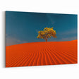Striking Red Dune Wall Art - Solitary Tree in Vibrant Desert Landscape