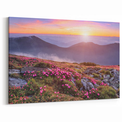 Rolling Fields Canvas Art - Sunset Glow Over Mountainous Countryside