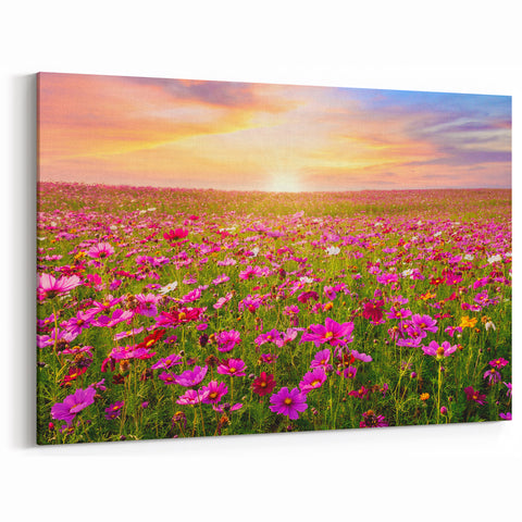 Fields Panorama Wall Decor - Vibrant Floral Meadow at Sunset