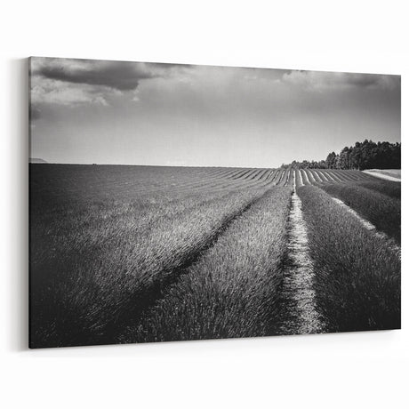 Field Landscape Wall Art - Monochrome Rows in Majestic Countryside