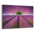 Serene Fields Art Print - Lavender Fields and Lone Tree at Sunset