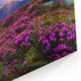 Fields Panorama Wall Decor - Vibrant Sunset Over Mountain Blooms