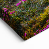Fields Panorama Wall Decor - Vibrant Sunset Over Mountain Blooms