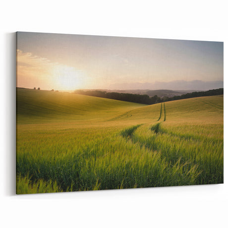 Fields Landscape Acrylic Prints - Golden Wheat Fields at Sunrise