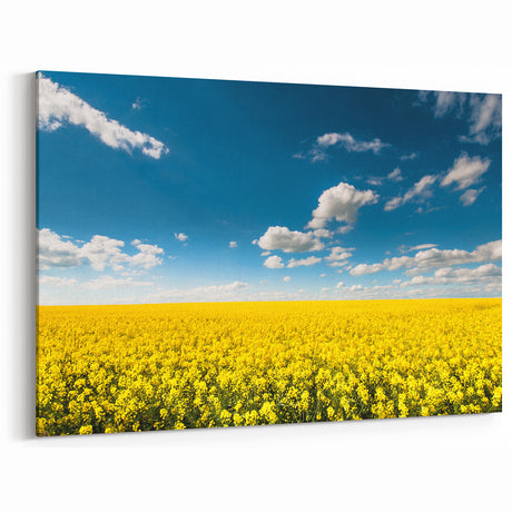Field Landscape Wall Art - Golden Yellow Fields Under Vibrant Blue Sky