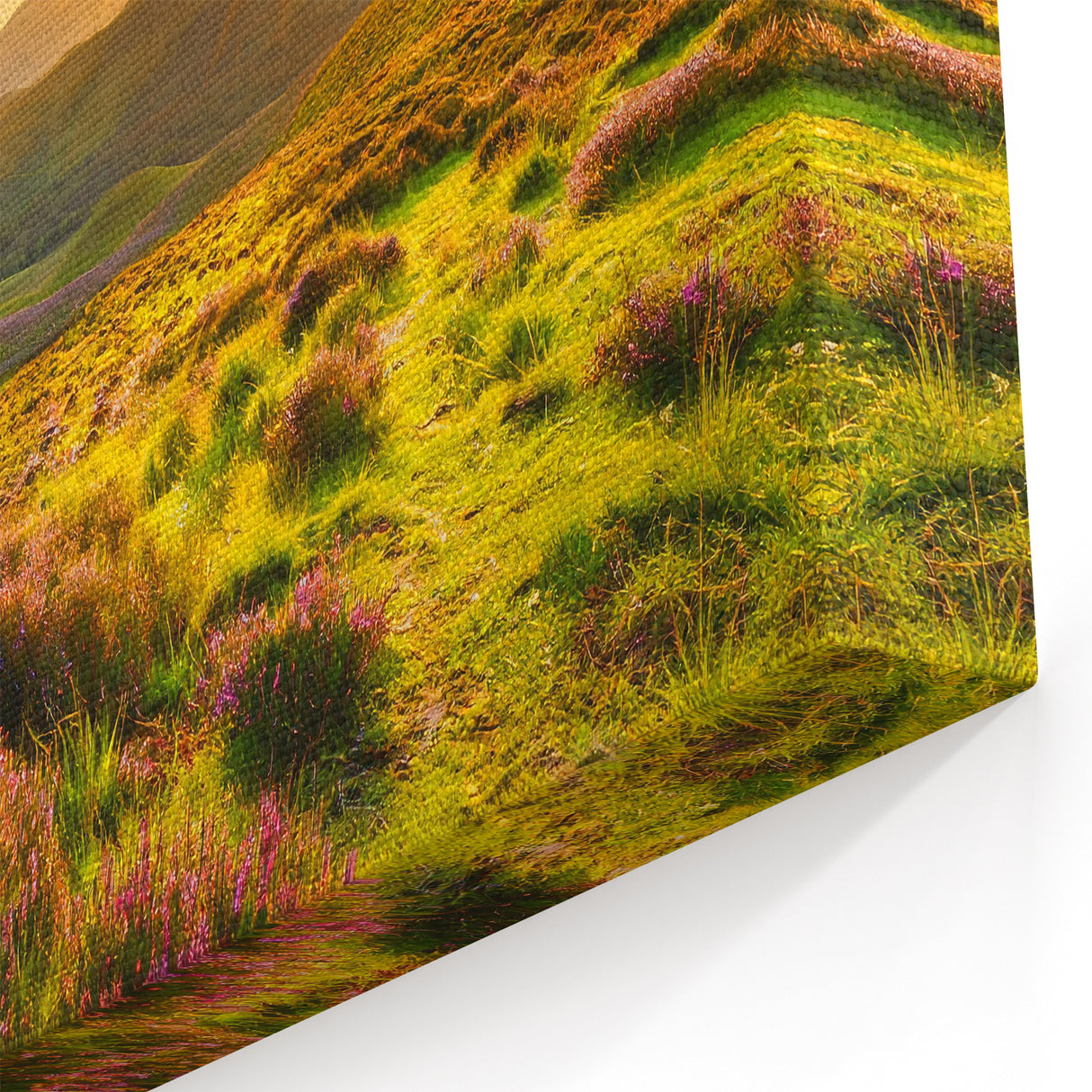 Fields Panorama Wall Decor - Golden Sunset Over Rolling Hills