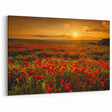 Fields Landscape Acrylic Prints - Golden Sunset Over Red Poppy Fields