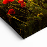 Fields Landscape Acrylic Prints - Golden Sunset Over Red Poppy Fields