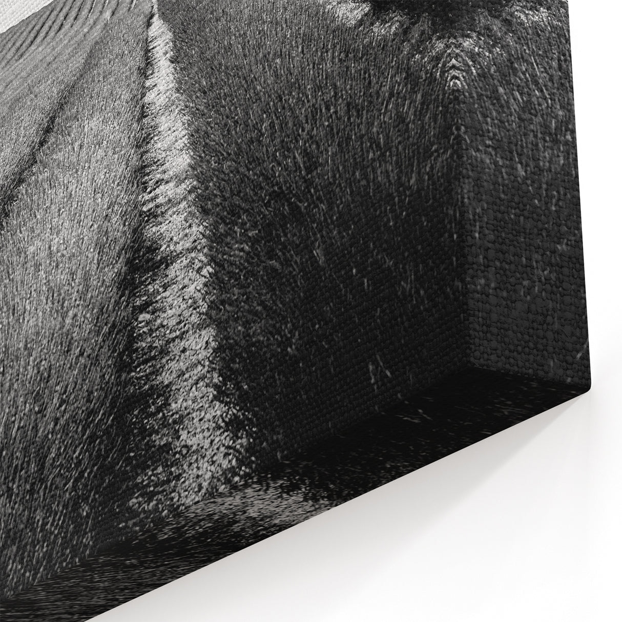 Field Landscape Wall Art - Black and White Fields Panorama Decor