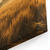 Fields Landscape Acrylic Prints - Golden Sunrise Over Wheat Fields