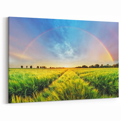 Fields Panorama Wall Decor - Vibrant Rainbow Over Lush Green Landscape