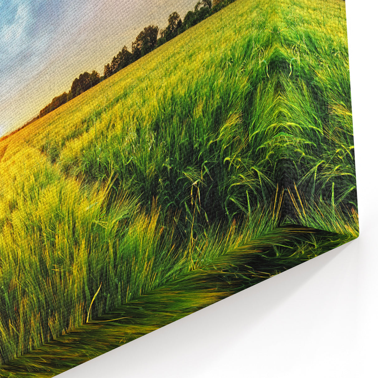 Fields Panorama Wall Decor - Vibrant Rainbow Over Lush Green Landscape