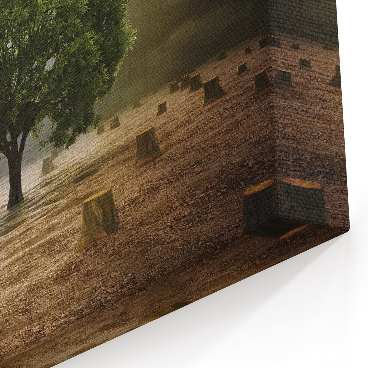 Field Landscape Wall Art - Solitary Tree Amidst Desolate Stumps