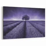 Fields Landscape Acrylic Prints - Monochrome Lavender Field with Tree