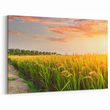 Rolling Fields Canvas Art - Golden Wheat Field at Sunset Landscape Print
