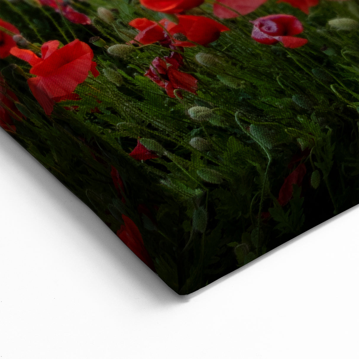 Countryside Fields Wall Hanging - Vibrant Poppy Field at Sunset Canvas