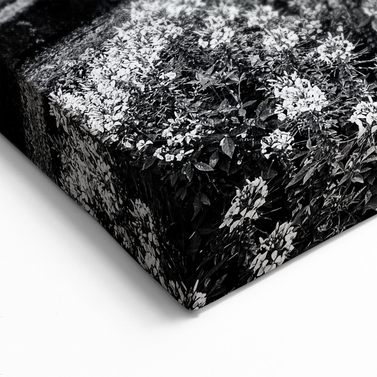 Grand Palace Architecture Art | Royal Historical Prints for Elegant Decor