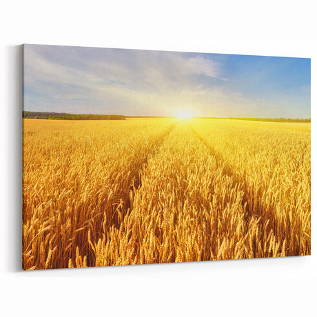 Fields Panorama Wall Decor - Golden Wheat Field at Sunrise Canvas Art