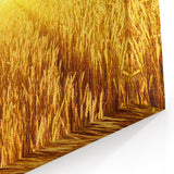 Fields Panorama Wall Decor - Golden Wheat Field at Sunrise Canvas Art