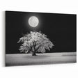 Night Tree Wall Art - Monochrome Tree Under Full Moon Landscape Canvas