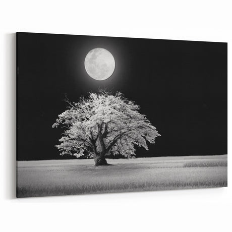 Night Tree Wall Art - Monochrome Tree Under Full Moon Landscape Canvas