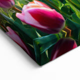 Sunrise Tulip Field Wall Art - Vibrant Floral Landscape Canvas Print
