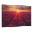 Sunset Lavender Field Wall Art - Vibrant Floral Landscape Canvas Print