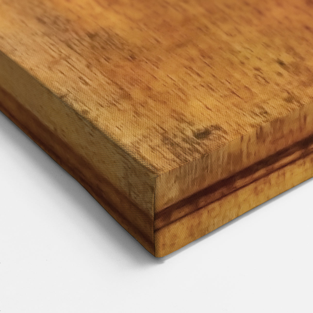 Antique Lion Head Hardware Wall Art - Premium Canvas Print & Decor