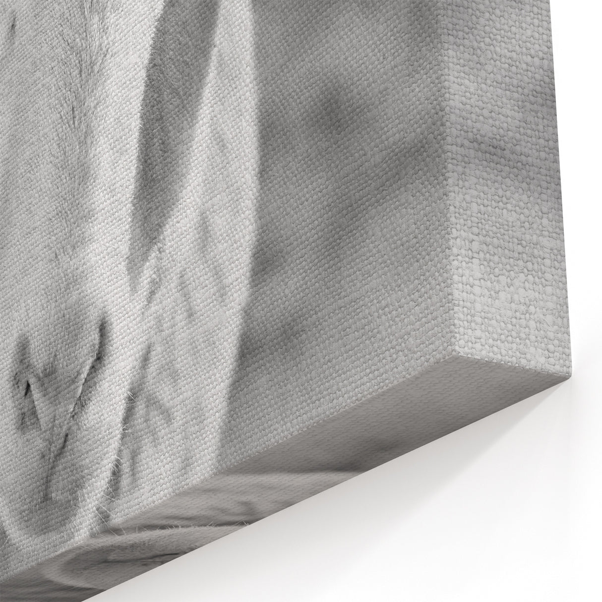 Serene Sheep Wall Art - Rustic Farm Animal Canvas Print