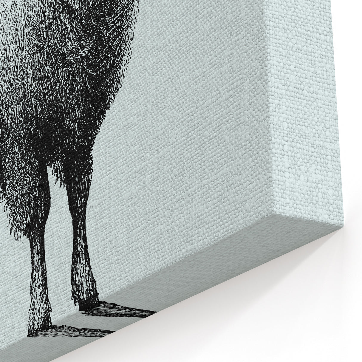 Minimalist Sheep Wall Art - Black and White Animal Canvas Print
