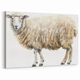 Rustic Sheep Wall Art - Watercolor Farm Animal Canvas Print