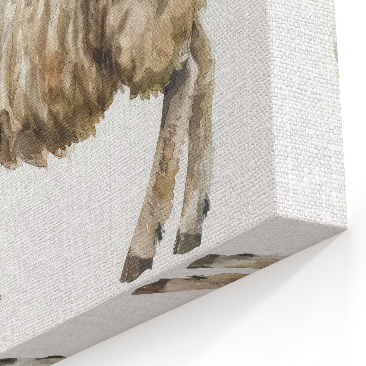 Rustic Sheep Wall Art - Watercolor Farm Animal Canvas Print