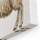Rustic Sheep Wall Art - Watercolor Farm Animal Canvas Print