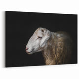 Minimalist Sheep Art Print - Detailed Farm Animal Canvas