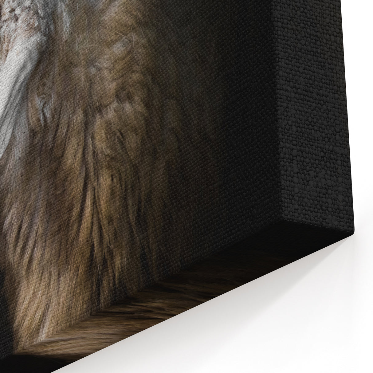 Minimalist Sheep Art Print - Detailed Farm Animal Canvas