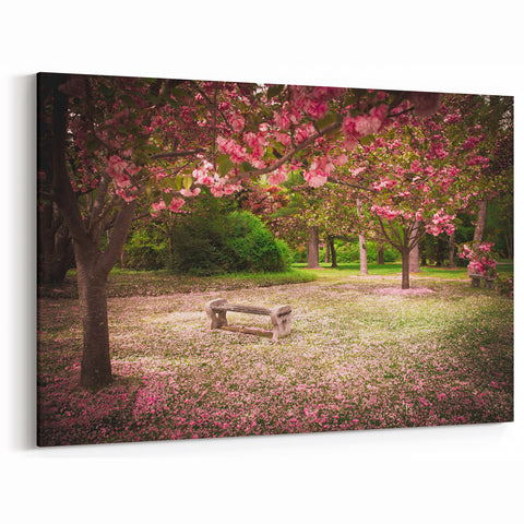 Serene Cherry Blossom Bench Art - Peaceful Garden Landscape Print