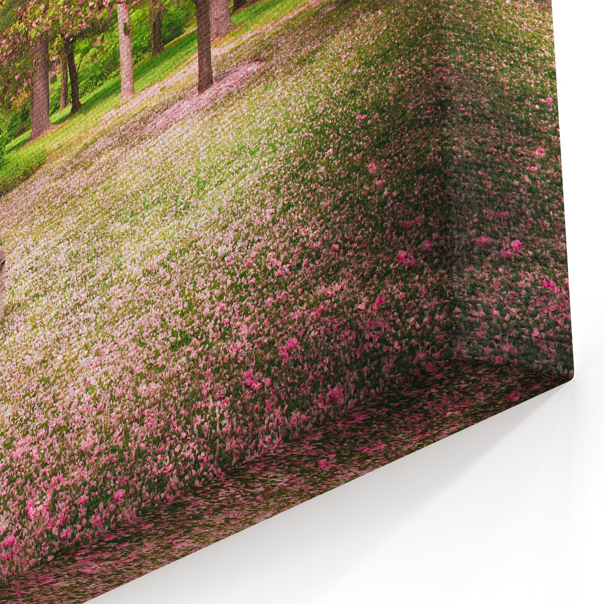 Serene Cherry Blossom Bench Art - Peaceful Garden Landscape Print