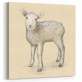 Charming Lamb Wall Art - Vintage Farm Animal Canvas Print