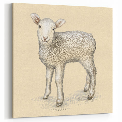 Charming Lamb Wall Art - Vintage Farm Animal Canvas Print