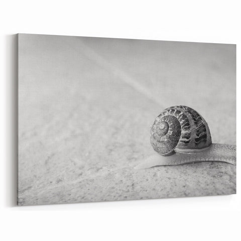 Monochrome Snail Wall Art - Elegant Black & White Wildlife Print