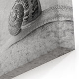 Monochrome Snail Wall Art - Elegant Black & White Wildlife Print