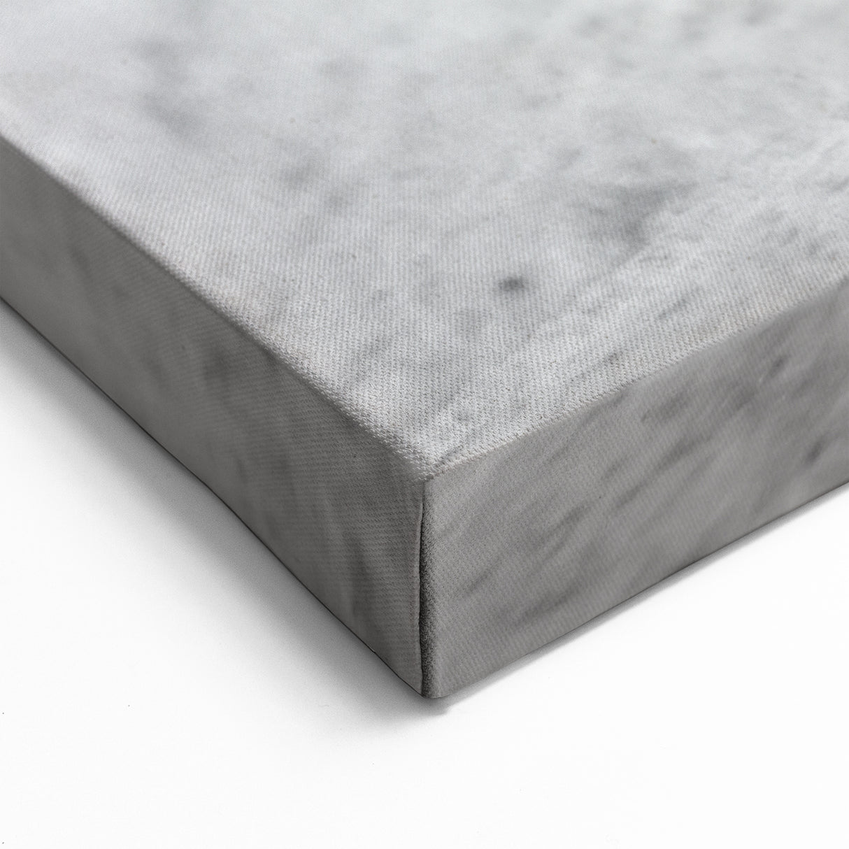 Monochrome Snail Wall Art - Elegant Black & White Wildlife Print