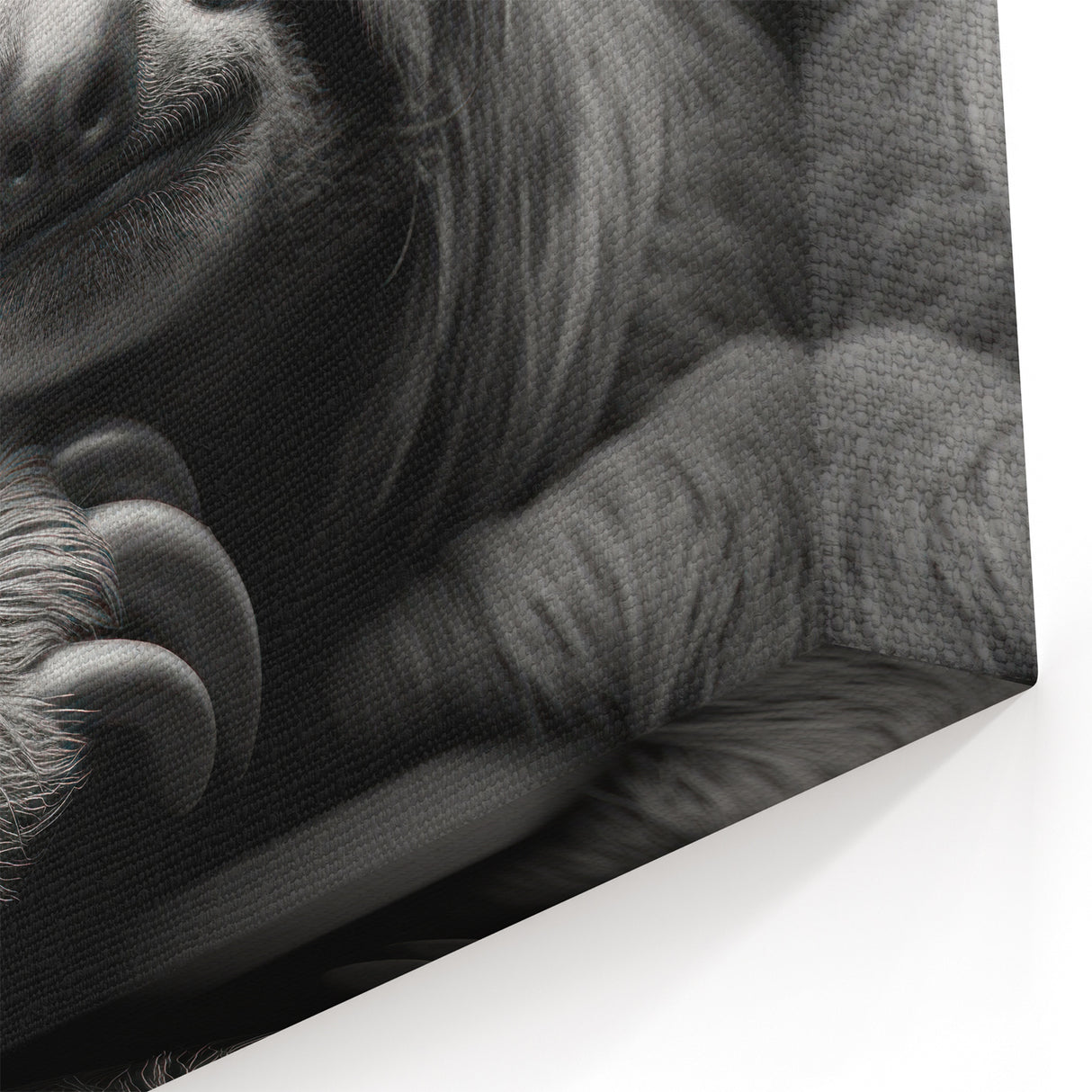 Dramatic Sloth Black & White Art - Modern Monochrome Wall Decor