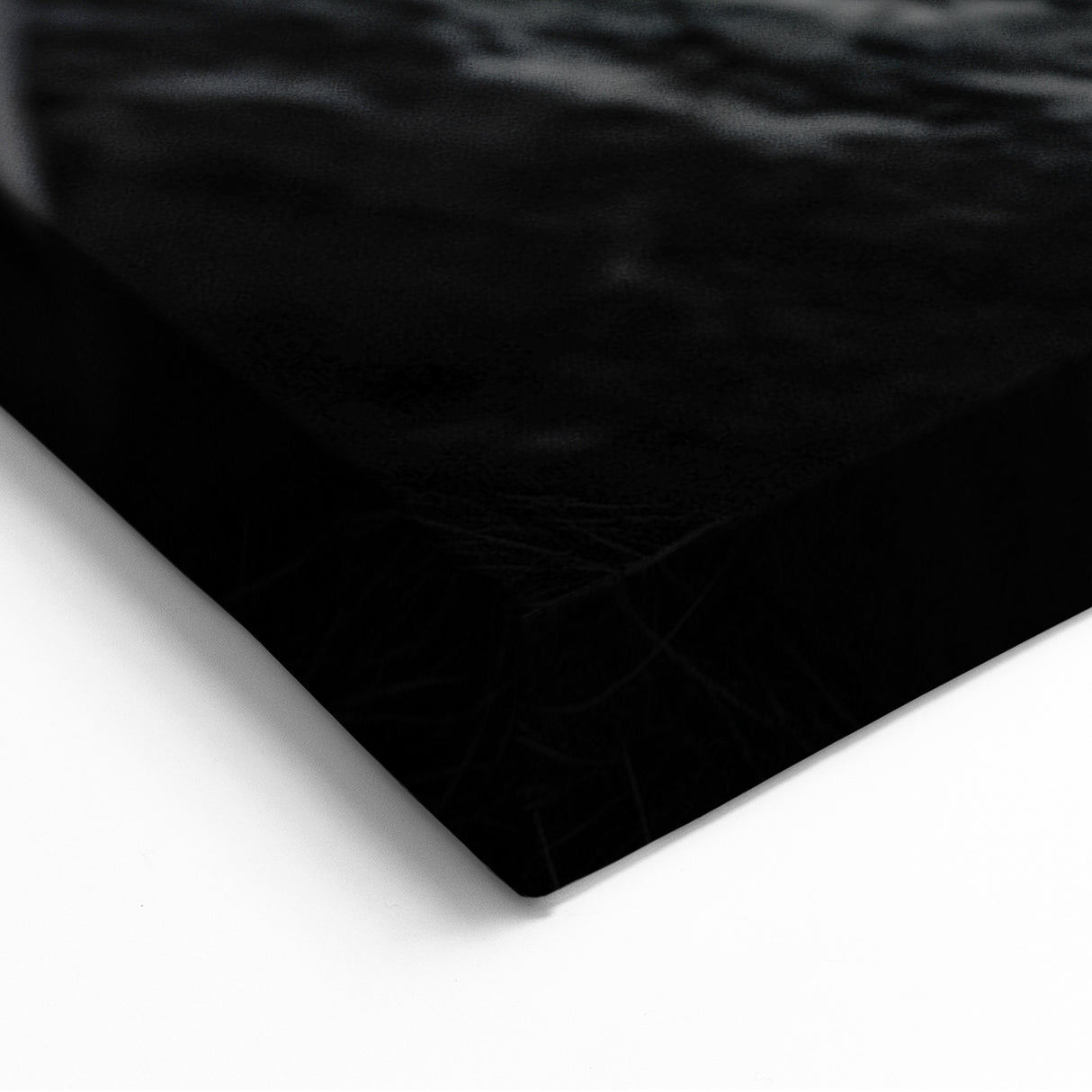 Intense Sloth Black & White Art - Bold Monochrome Wall Decor