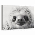 Close-Up Sloth Black & White Art - Modern Monochrome Wall Decor