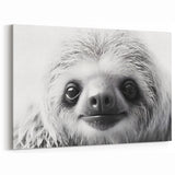 Close-Up Sloth Black & White Art - Modern Monochrome Wall Decor
