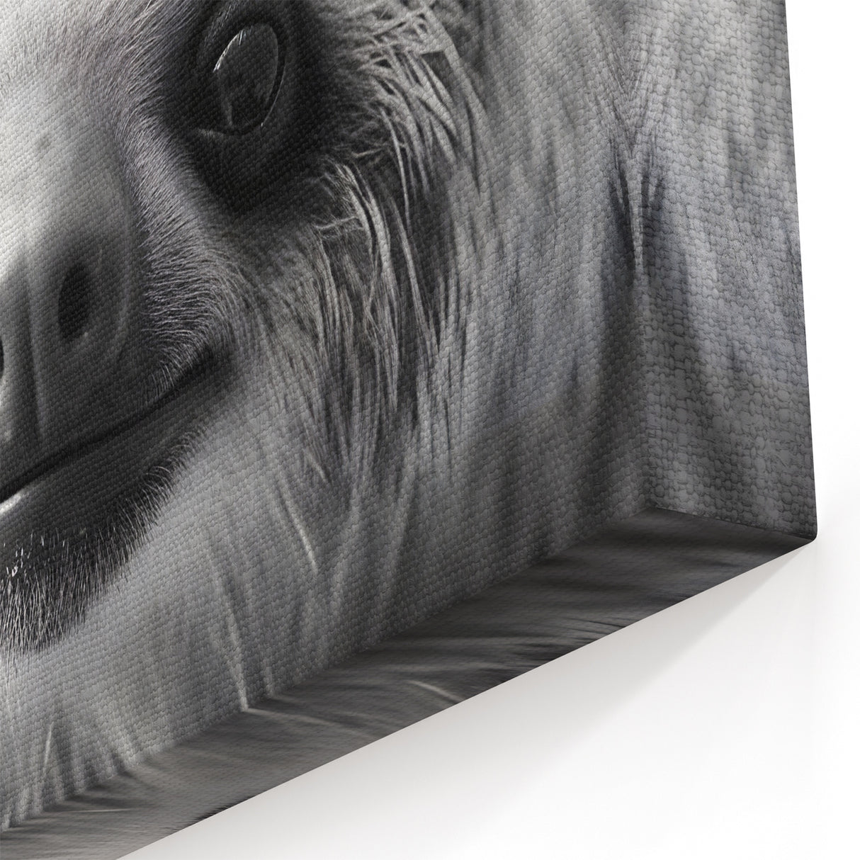 Close-Up Sloth Black & White Art - Modern Monochrome Wall Decor